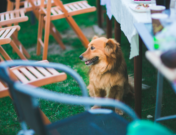 Thumb_zrzut_ekranu_2015-05-22_o_16.40.08